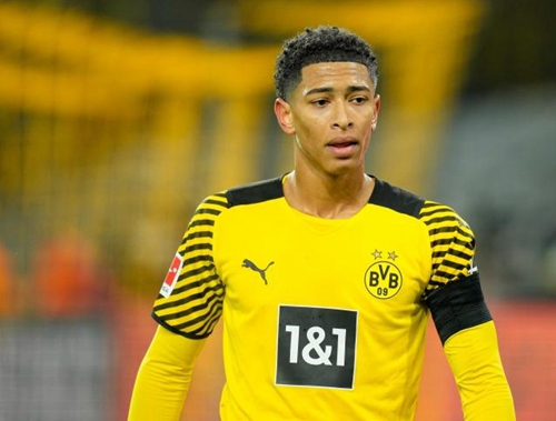 行了针对性 行了针对性